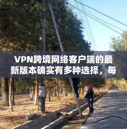 VPN跨境网络客户端的最新版本确实有多种选择，每个客户端都有其独特的功能和特点。以下是几种常见的VPN客户端推荐，供您参考