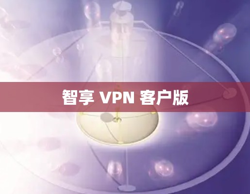 智享 VPN 客户版