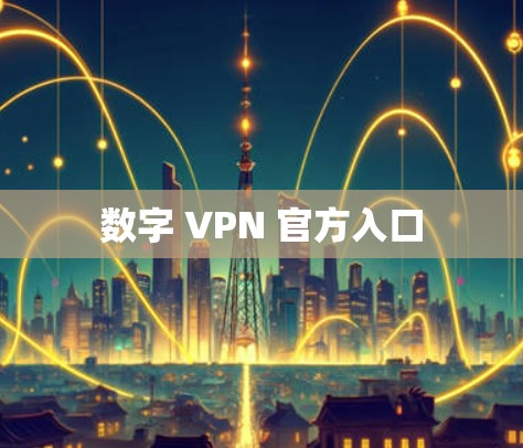 数字 VPN 官方入口