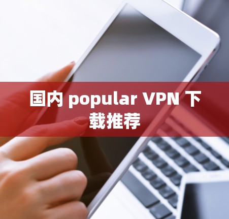国内 popular VPN 下载推荐