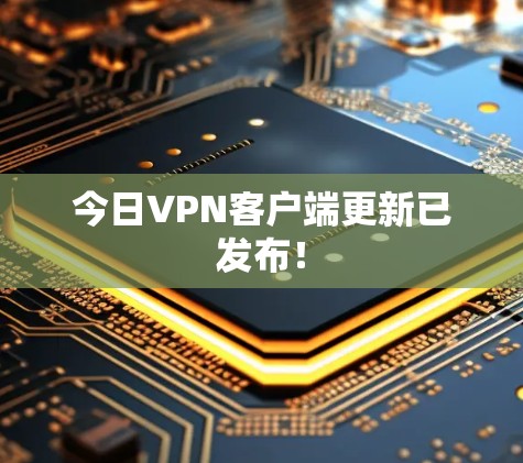 今日VPN客户端更新已发布！