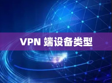 VPN 端设备类型