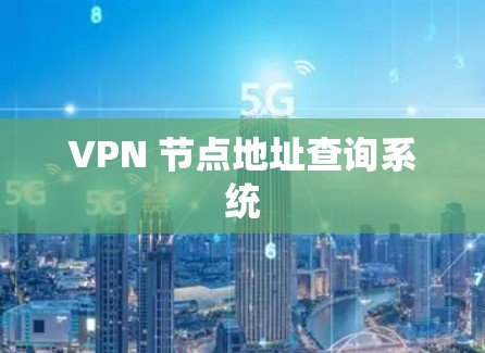 VPN 节点地址查询系统