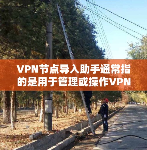 VPN节点导入助手通常指的是用于管理或操作VPN服务器或节点的工具或应用。以下是一些可能的步骤和信息，帮助您顺利导入和管理VPN节点