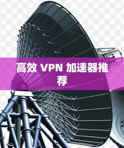 高效 VPN 加速器推荐