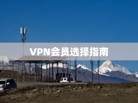 VPN会员选择指南