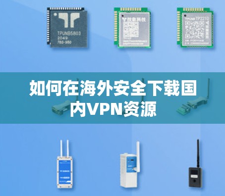 如何在海外安全下载国内VPN资源