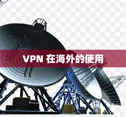 VPN 在海外的使用 VPN 在海外的使用