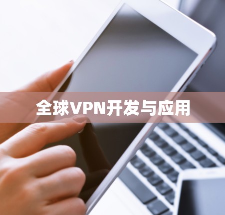 全球VPN开发与应用
