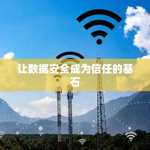 让数据安全成为信任的基石