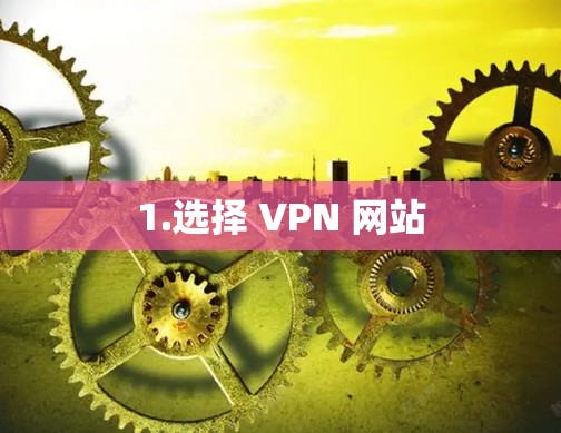 1.选择 VPN 网站 1.选择 VPN 网站