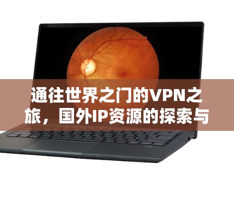 通往世界之门的VPN之旅，国外IP资源的探索与选择