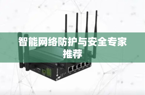 智能网络防护与安全专家推荐