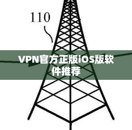 VPN官方正版iOS版软件推荐