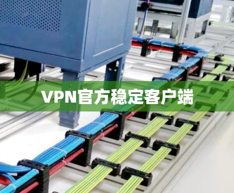 VPN官方稳定客户端