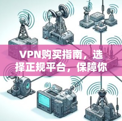 VPN购买指南，选择正规平台，保障你的隐私与安全