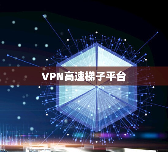 VPN高速梯子平台