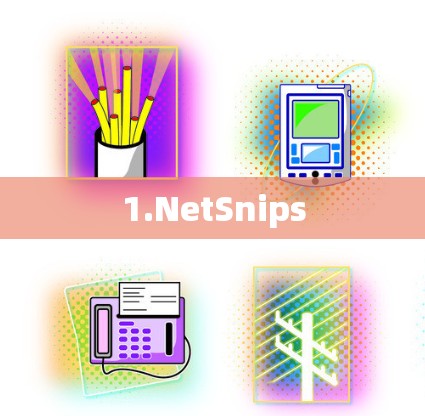 1.NetSnips