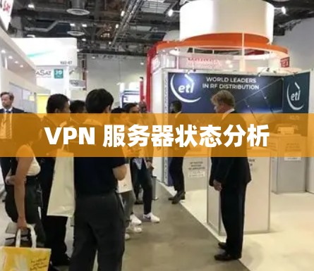 VPN 服务器状态分析