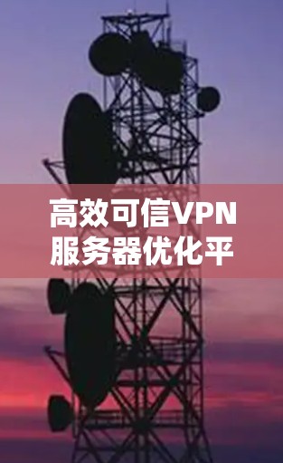 高效可信VPN服务器优化平台