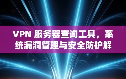 VPN 服务器查询工具，系统漏洞管理与安全防护解决方案