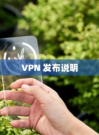 VPN 发布说明