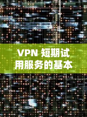 VPN 短期试用服务的基本信息