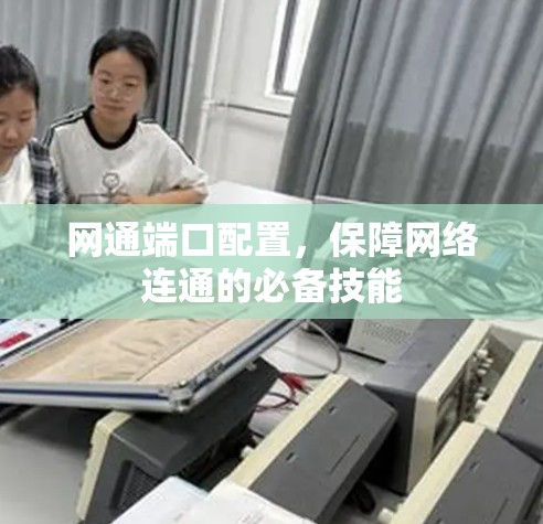 网通端口配置，保障网络连通的必备技能