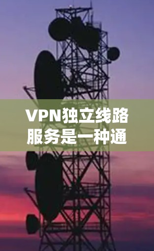 VPN独立线路服务是一种通过路由器或交换机连接多个设备，而不是依赖于传统的物理VPN基础设施，来实现VPN功能的技术。以下是关于VPN独立线路服务的详细总结