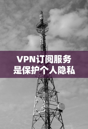 VPN订阅服务是保护个人隐私的重要工具，适用于多种场景，包括在线购物、视频会议、实时聊天等。以下是针对VPN订阅服务的详细分析和总结