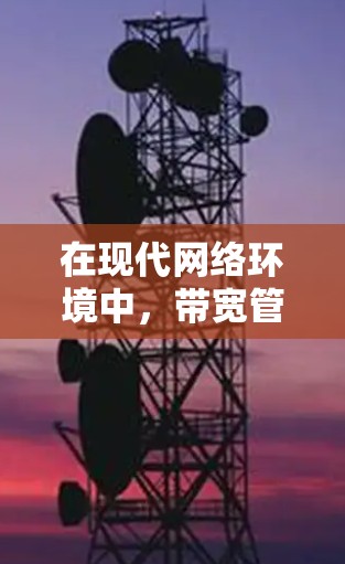 在现代网络环境中，带宽管理是确保数据安全和用户体验的重要环节。以下是针对VPN带宽管理的详细步骤和建议