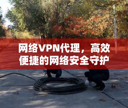 网络VPN代理，高效便捷的网络安全守护者